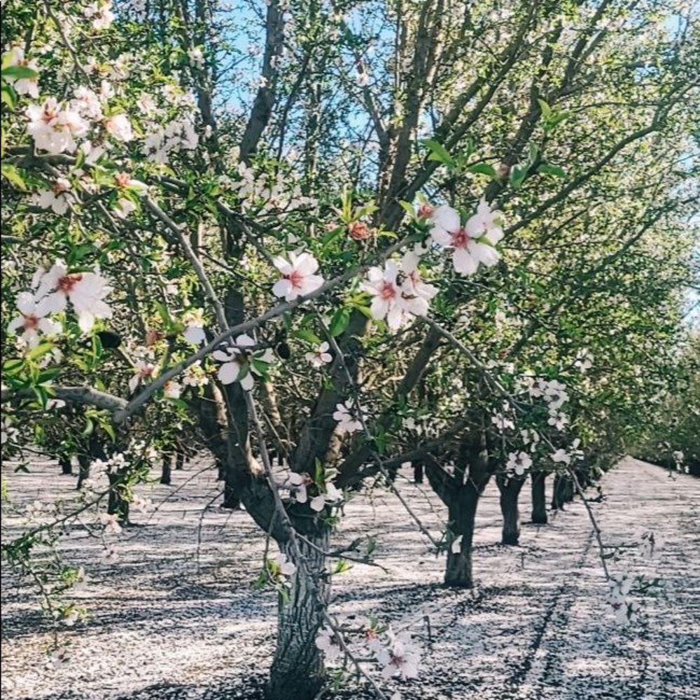Thank you for visiting my closet